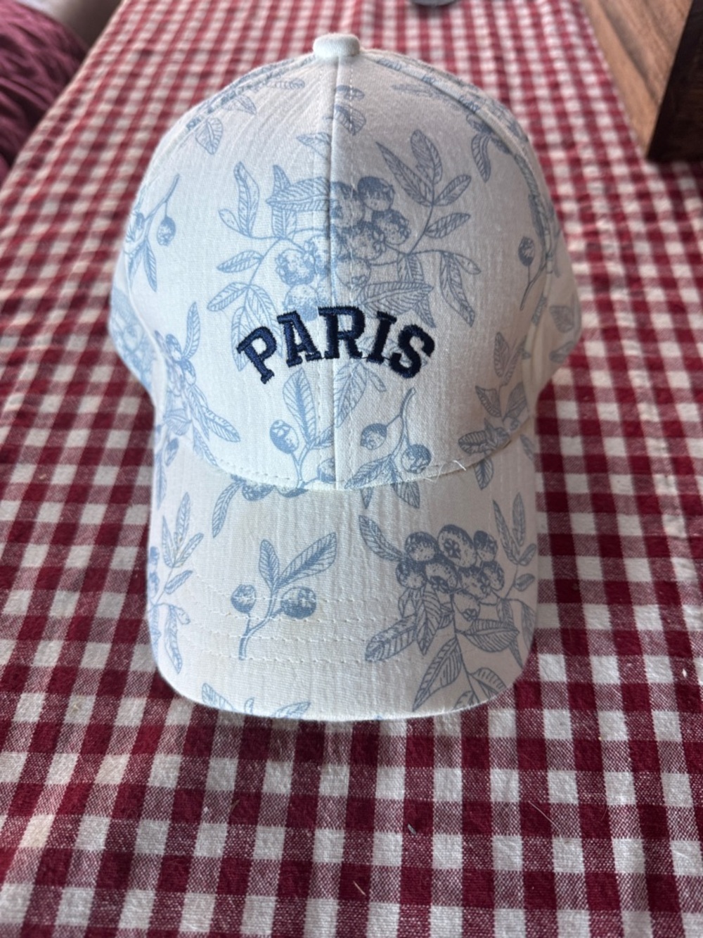 Paris blue Floral Baseball Cap - Light Blue on White -shabby chic